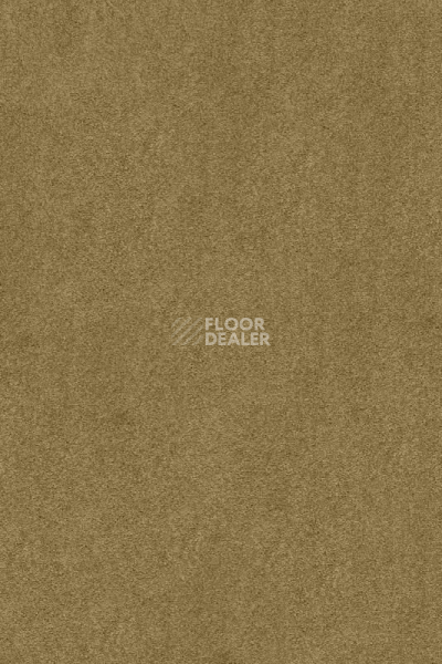 Ковролин AW Masquerade Kai 54 фото 1 | FLOORDEALER